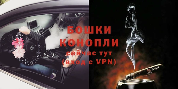 гидра Елабуга