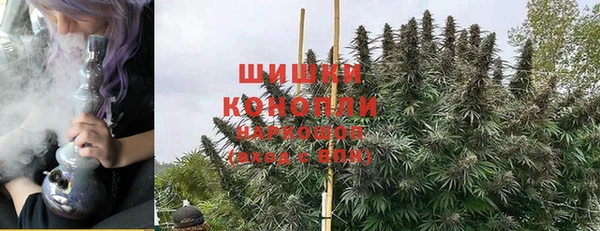 СК Дмитровск